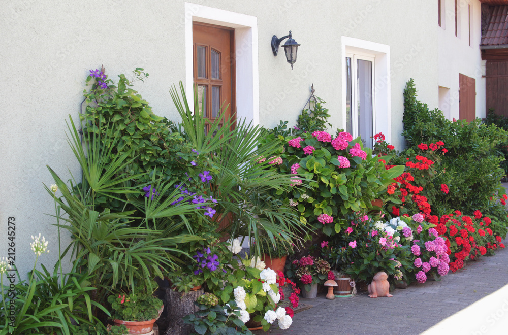 house entrance with many flowers and green plants