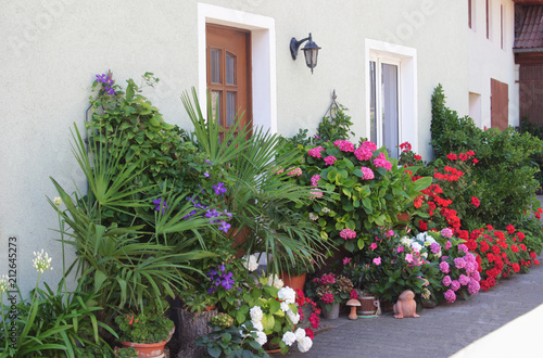 Fototapeta Naklejka Na Ścianę i Meble -  house entrance with many flowers and green plants