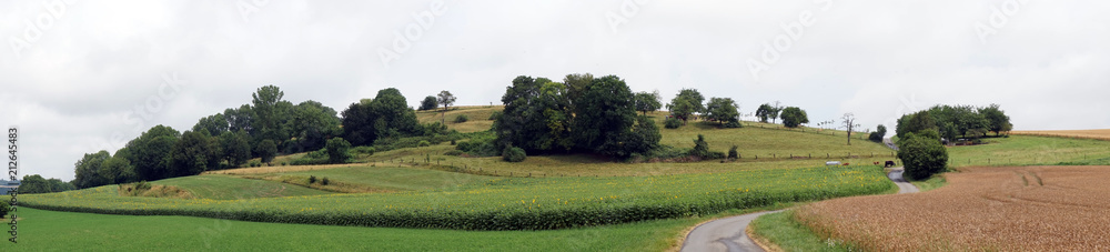 Panorama in countryside