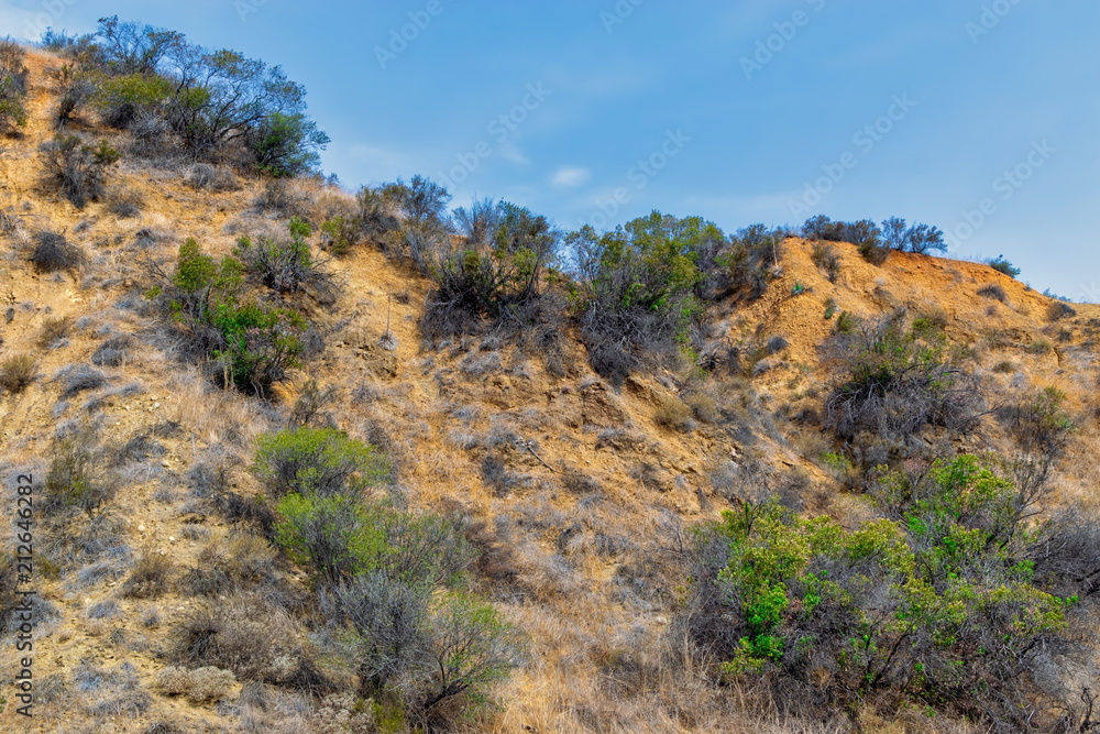 Summer sun dries hillsides on hot afternoon with room for text in sky