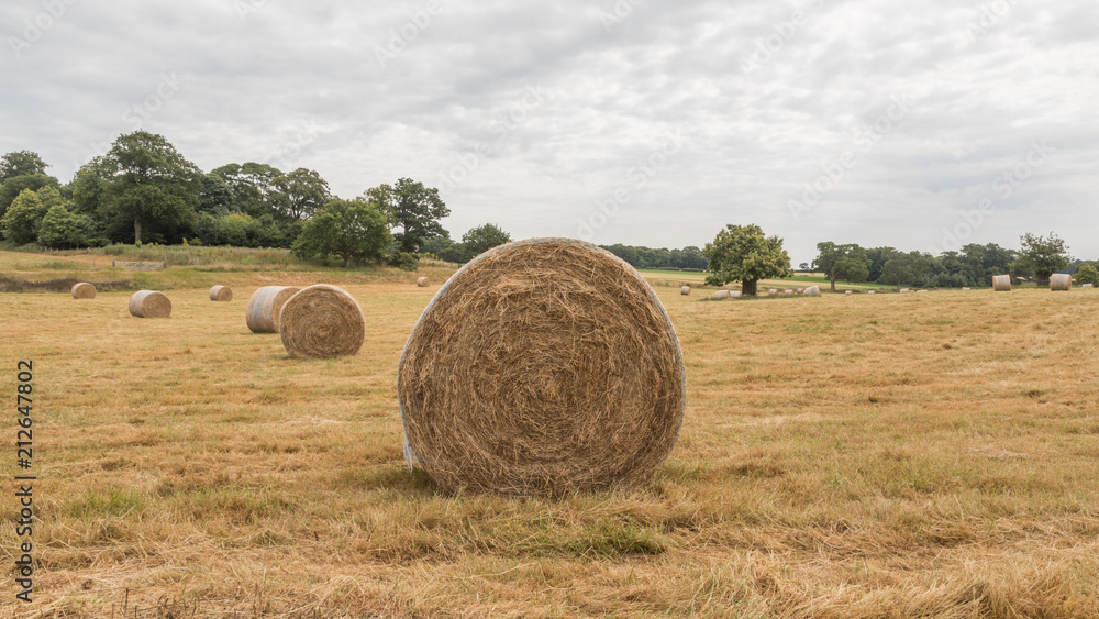Giant hay bales in the English countryside Giant hay bales in the English countryside