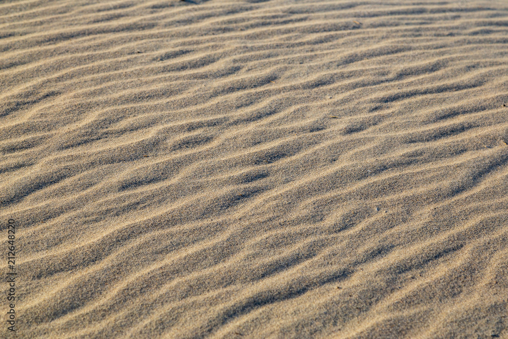 Sand ripples, Sandriffel, Sand ripples, Sandriffel,