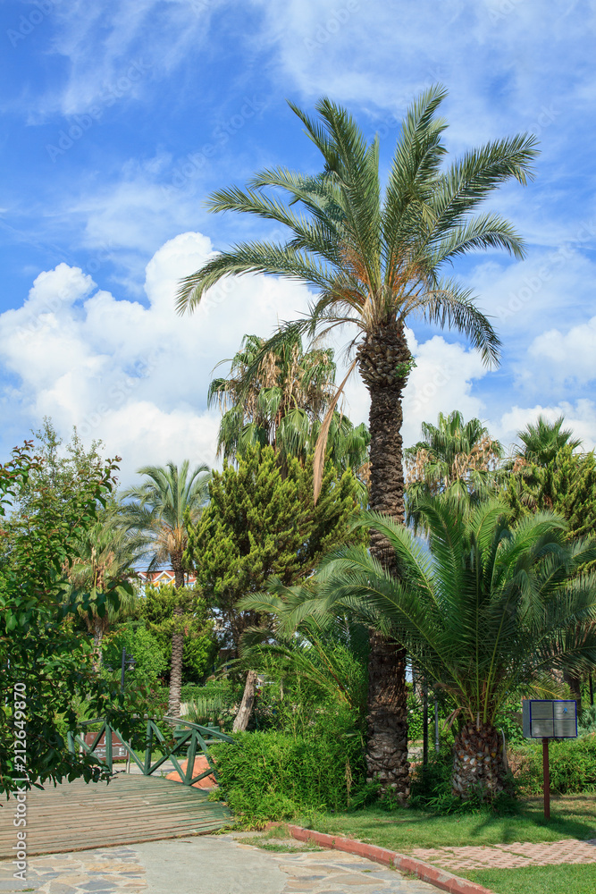 Obraz premium Park in Kemer, Turkey