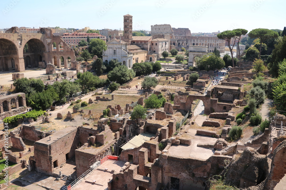Obraz premium View to Forum Romanum in Rome, Italy