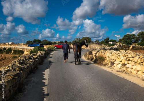 Walking with a horse photo