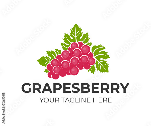 Grapes berry and fruit, bunch of grapes with leaves, logo template. Viticulture, winemaking and farming, a natural and organic product, vector design and illustration