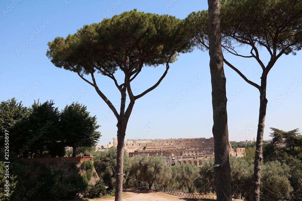 View from Palatine Hill to the Colosseum or Coliseum in Rome, Italy 
