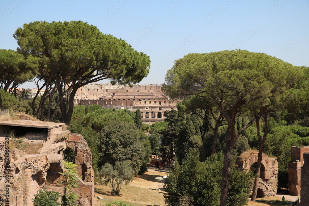 Palatine Hill and Colosseum in Rome, Italy 