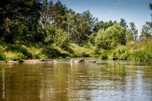 rzeka nizinna Mała Panew © Henryk Niestrój