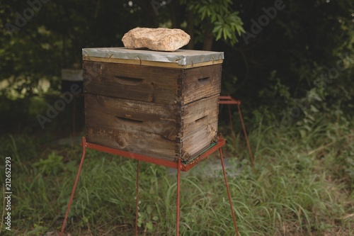 Beehive box on farm photo