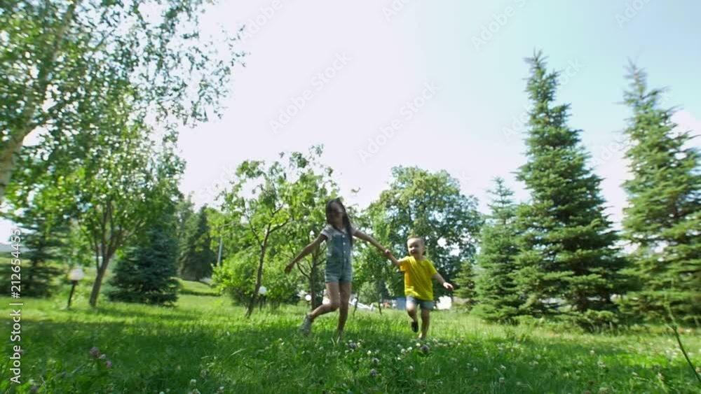 Happy girl with little brother holding hands running through the field at sunny day Happy girl with little brother holding hands running through the field at sunny day