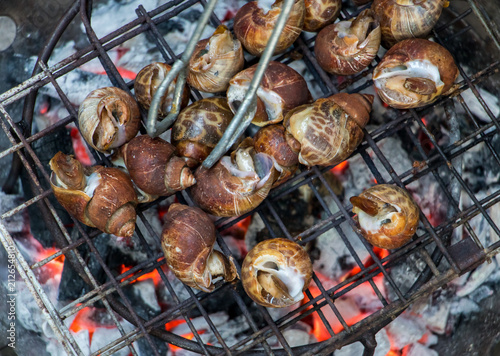 Snails are roasting on the grill. Grilling snails on grate over charcoal.