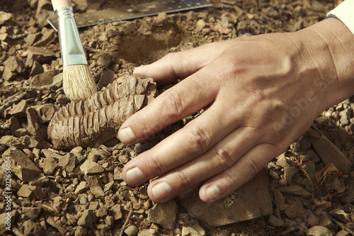 Scientist pick up trilobite fossil find from ground
