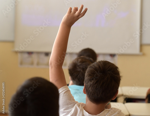 School boy rising hand in class