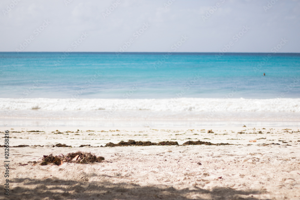 Horizontal lines: sandy wild beach, sea wave with white foam, beautiful azure sea and blue sky. Horizontal lines: sandy wild beach, sea wave with white foam, beautiful azure sea and blue sky.