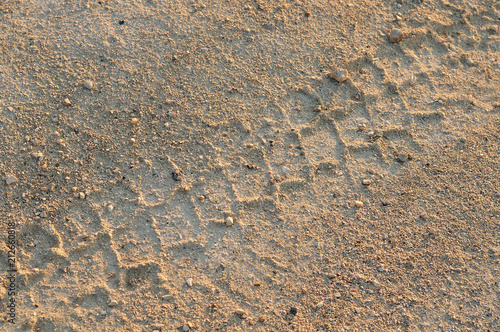 skid marks in sandy road