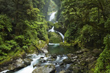 Rainforest Jungle Cascade River Waterfall in Clinton Valley, Fiordland National Park New Zealand