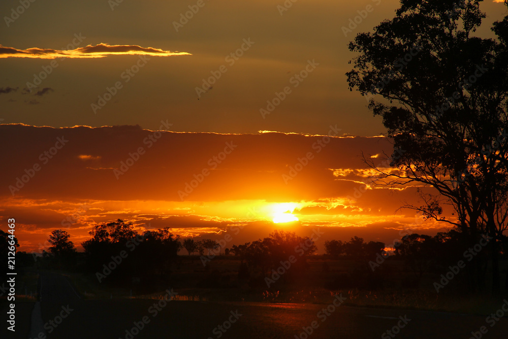 Splendid orange sunset with clouds and silhouettes of trees by empty road in Queensland, Outback Australia. Fantastic twilight landscape