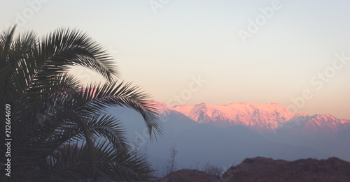 Palm tree on the front and snow peaks of Andes Mountains on the background at sunset in Santiago, Chile. Weather forecast contrast landscape concept