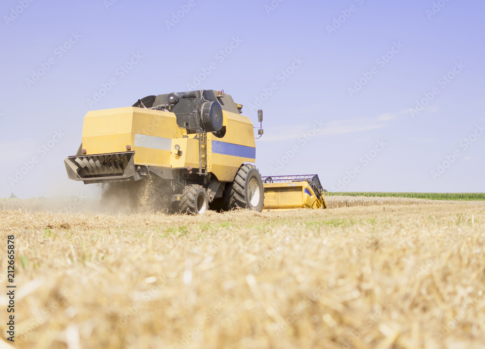 Obraz premium Combine harvester working on a wheat crop