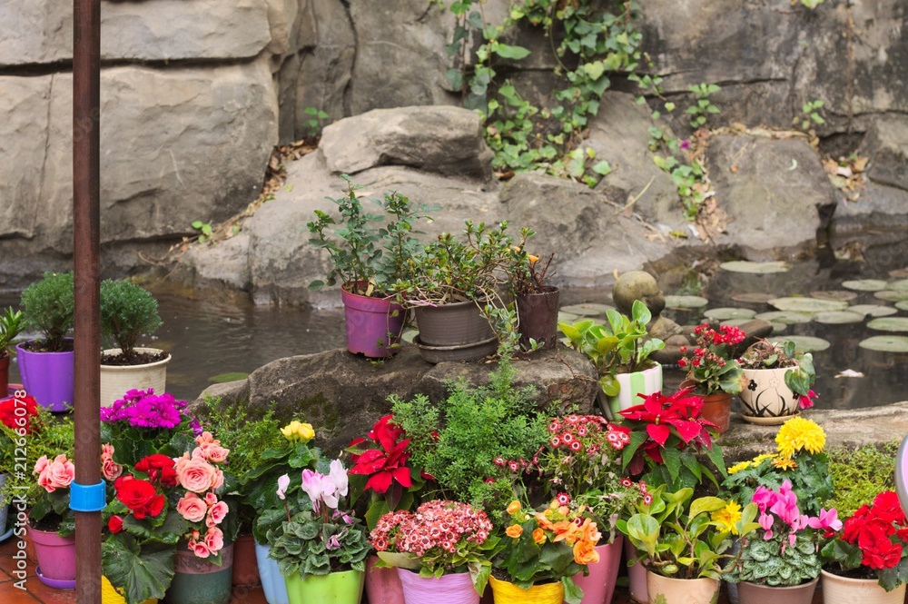 Colored vases with flowers on the rock (Kunming, Yunnan, China)
