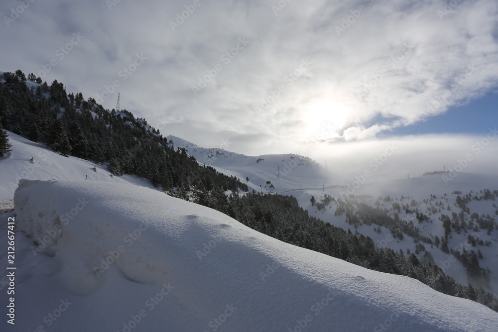 Fototapeta premium the top of the mountains with forest covered with snow, fog and clouds on a sunny frosty day
