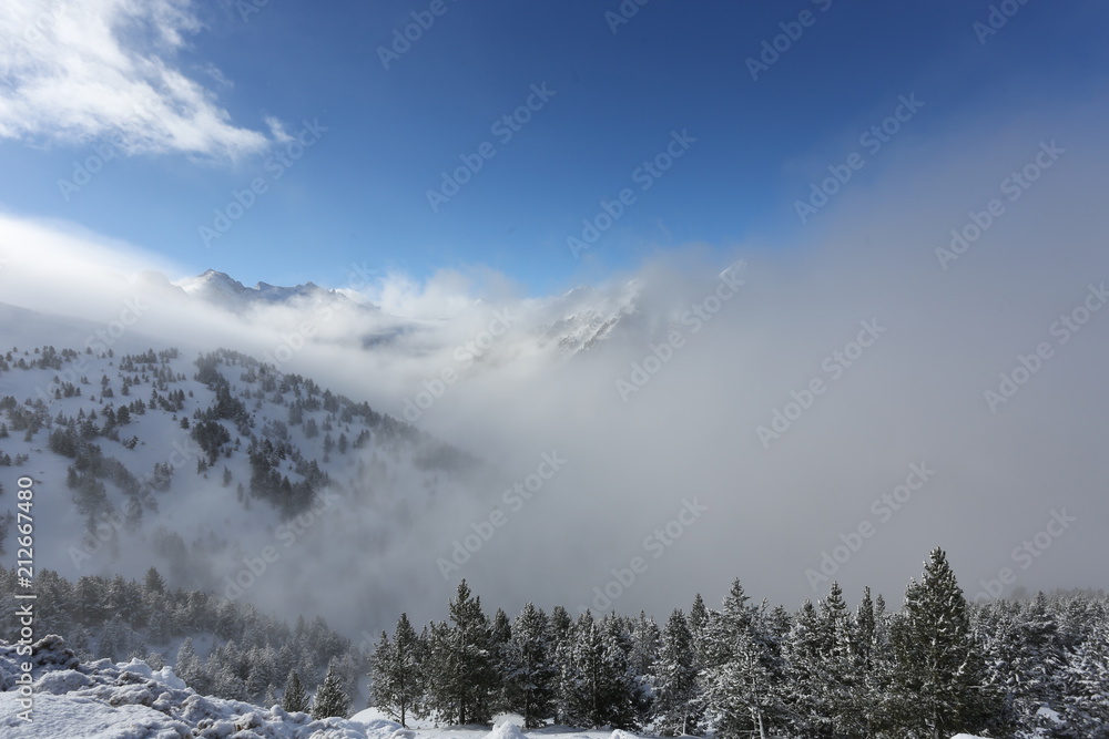 the top of the mountains with forest covered with snow, fog and clouds on a sunny frosty day