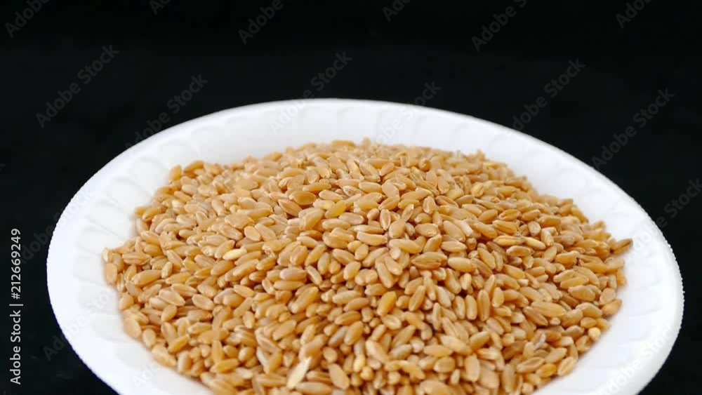 quality wheat to make flour on black ground
quality wheat to make flour on black ground