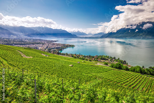 Tela Panorama view of Montreux city with Swiss Alps, lake Geneva and vineyard on Lava