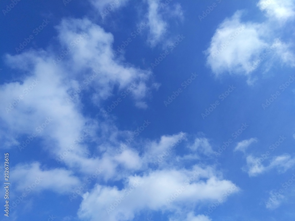 Fototapeta premium 爽やかな夏空