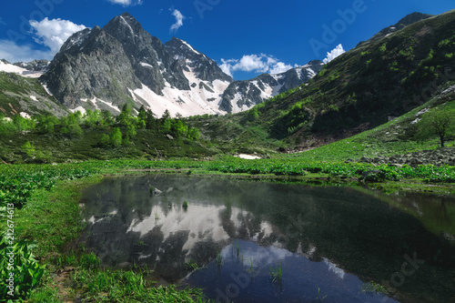 Beautiful reflection nature landscape of mountains with snow and green forest