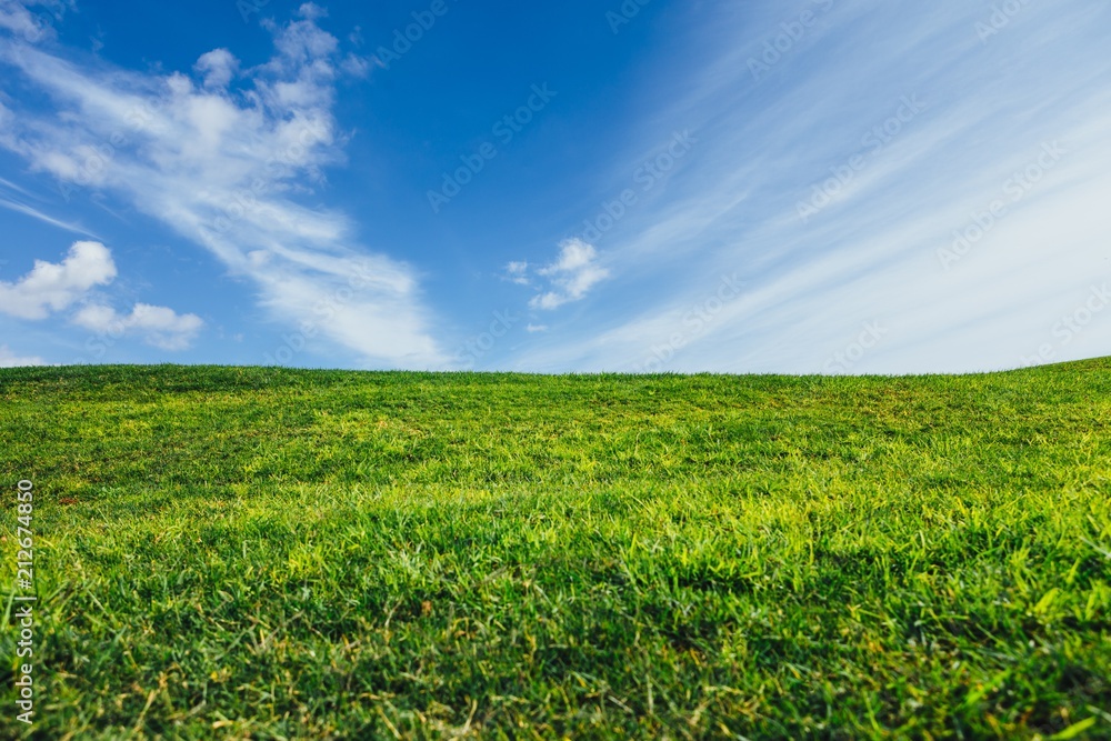 green grass and blue sky nature background green grass and blue sky nature background
