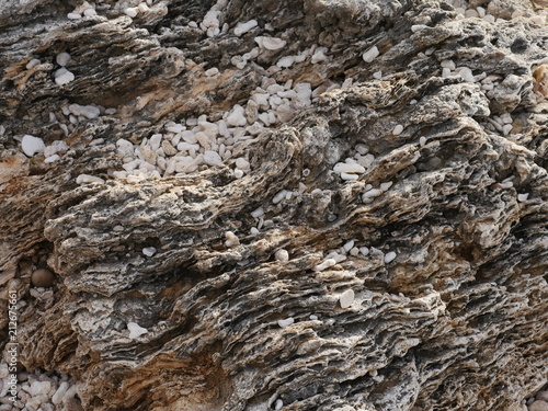 Ocean dry reef rock background