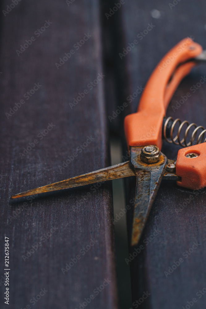 Rusty pruning scissors on a wooden table