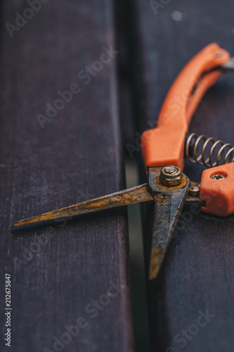 Obraz na płótnie Rusty pruning scissors on a wooden table w salonie