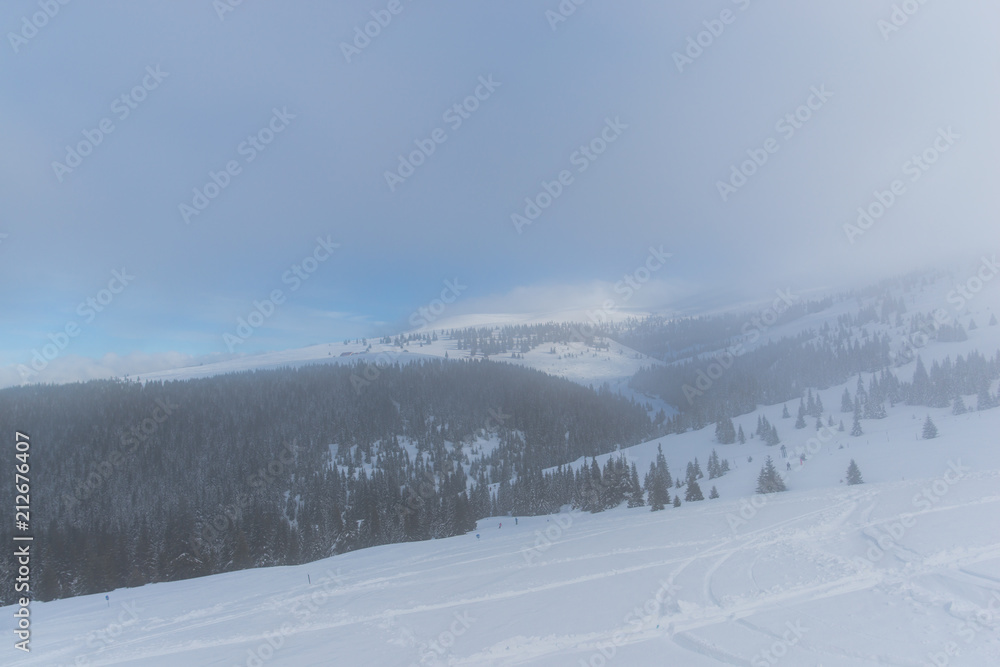 Fototapeta premium Winter landscape