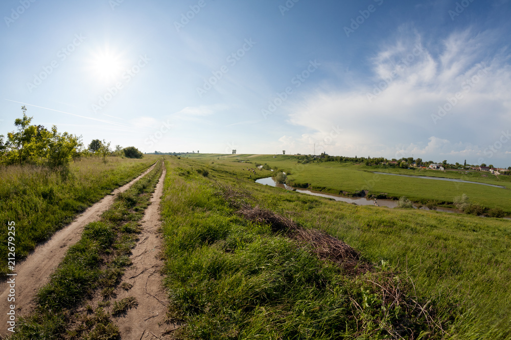 Fototapeta premium Countryside landscape in the summer 