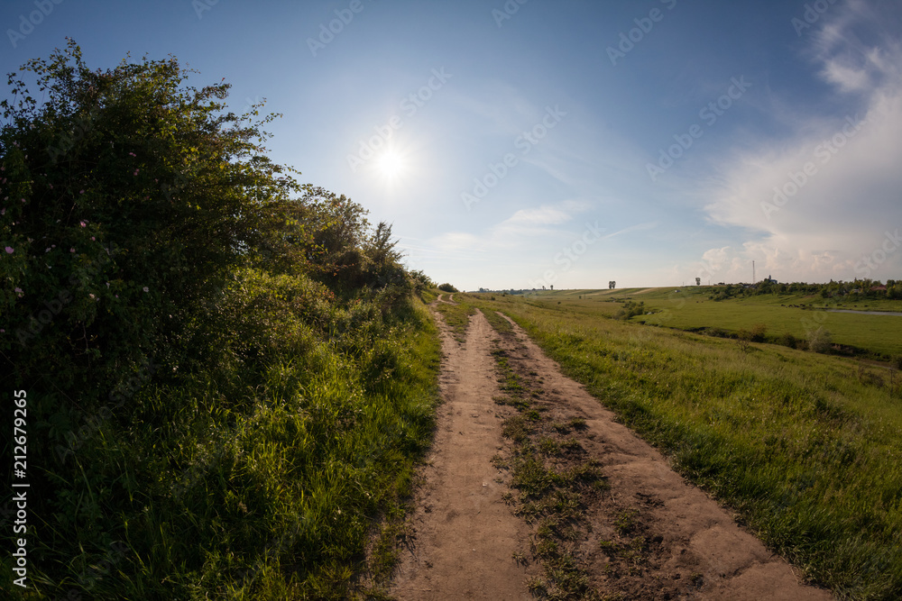 Countryside landscape in the summer
