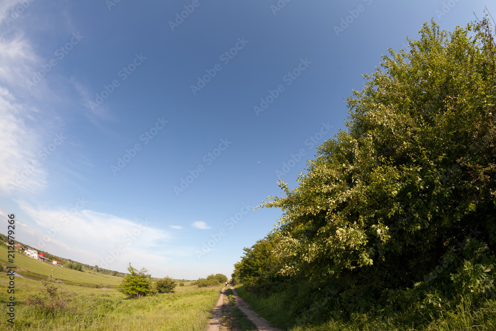 Obraz premium Countryside landscape in the summer 