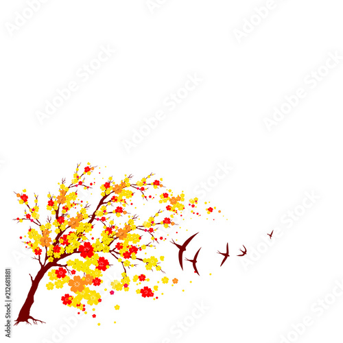 red autumn,flowers tree , on a white