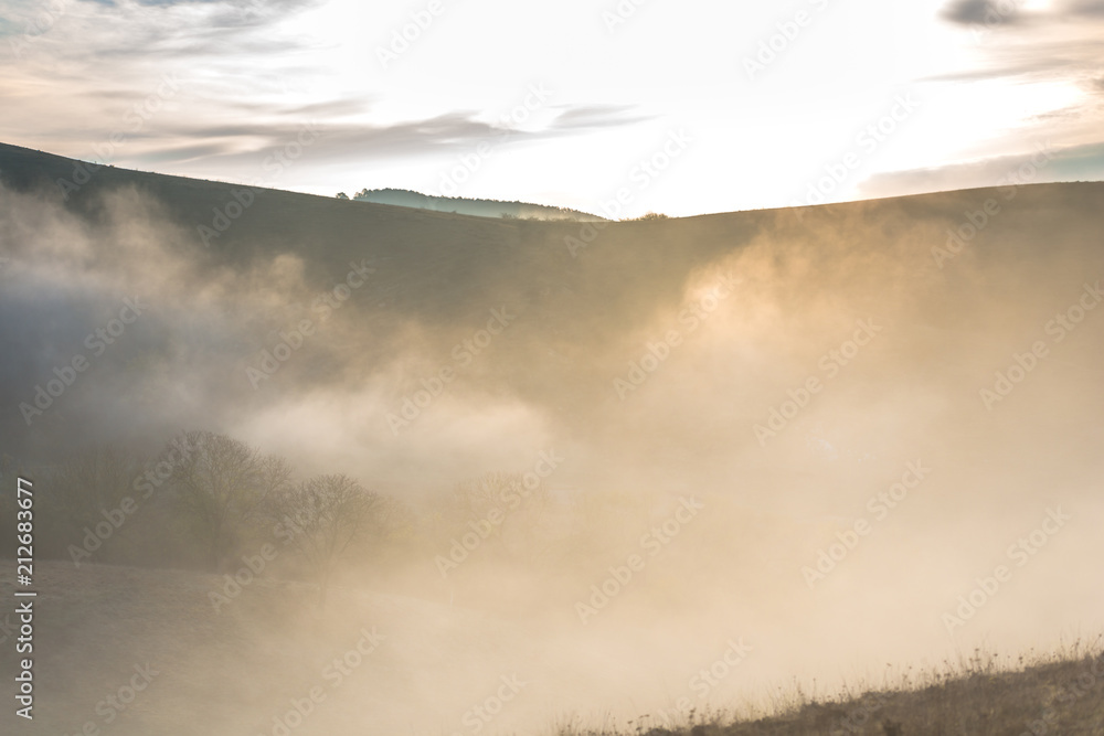 Obraz premium Morning fog in the springtime