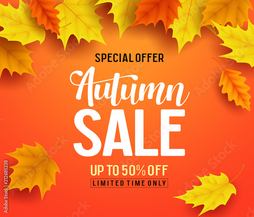 Autumn sale vector banner background with fall leaves elements, autumn typography and discount text in orange background. Vector illustration.
