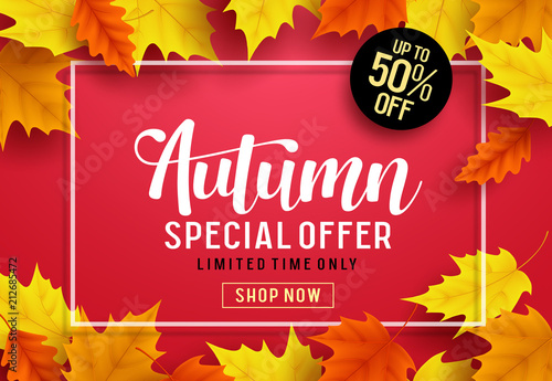 Autumn vector banner template with special offer text, maple leaves and white frame in red background for fall seasonal shopping discount promotion. Vector illustration.

