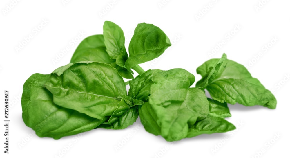 Fresh herbs Fresh herbs