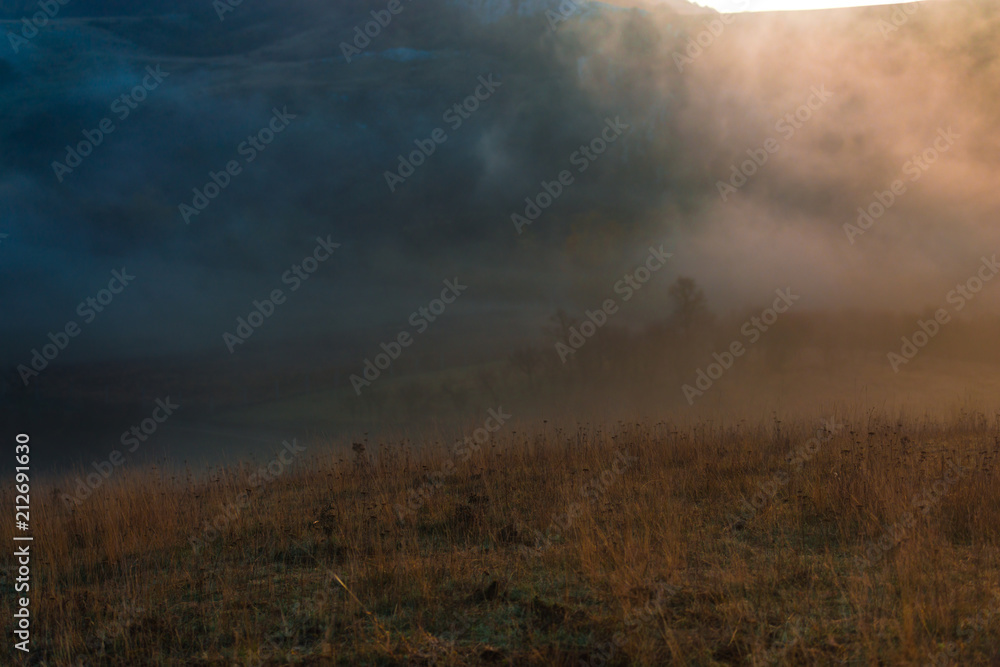 Fototapeta premium Misty fog