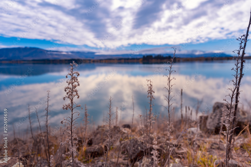 Fototapeta premium Autumn in Lake Pukaki , south Island, New Zealand landscape