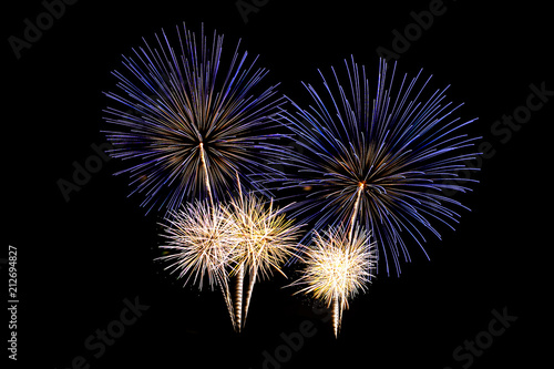 Fireworks light up the sky New Year celebration.