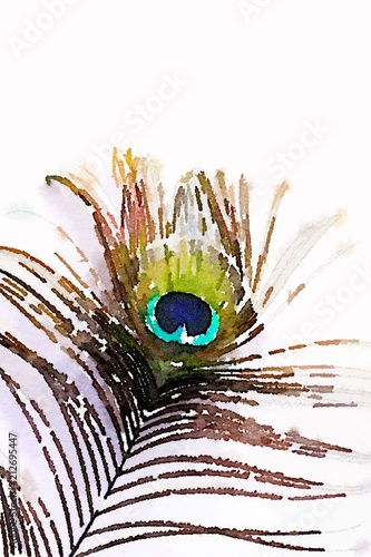 Watercolor of a peacock feather
