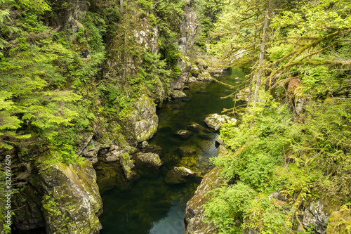 clear water running through creek under the canyon surround by forest