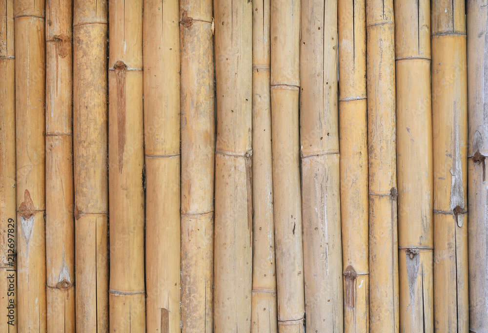 Naklejka premium Golden bamboo fence background. 